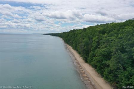 1369 Black Rock