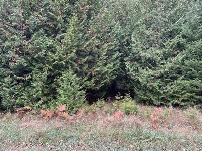 Lot 729 Christopher Drive