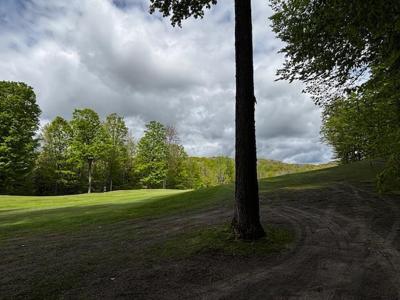 Unit 24 Forest Trail