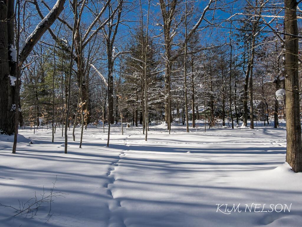 Image 4: 4791DougDr-15LoRes