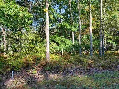 5833 Huron Woods Drive