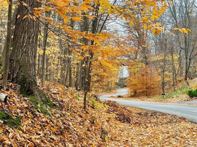 Spring Valley Road