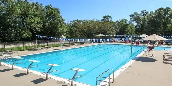 Image 4: Pool