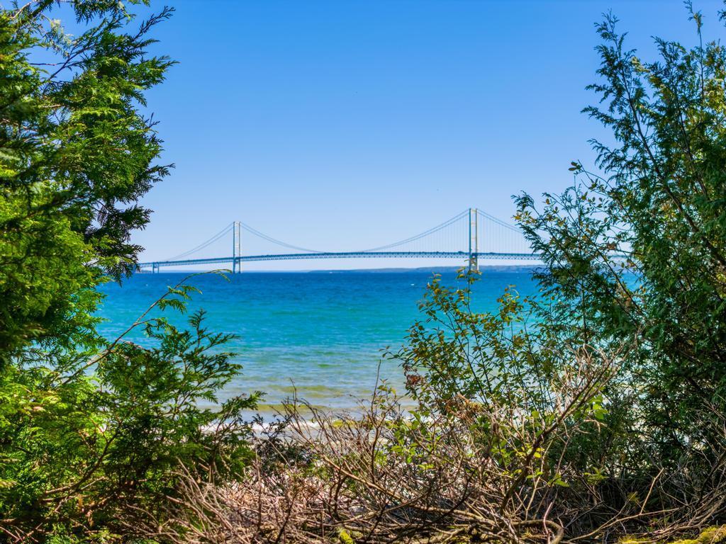Image 3: DJI_20260601114611_0107_D