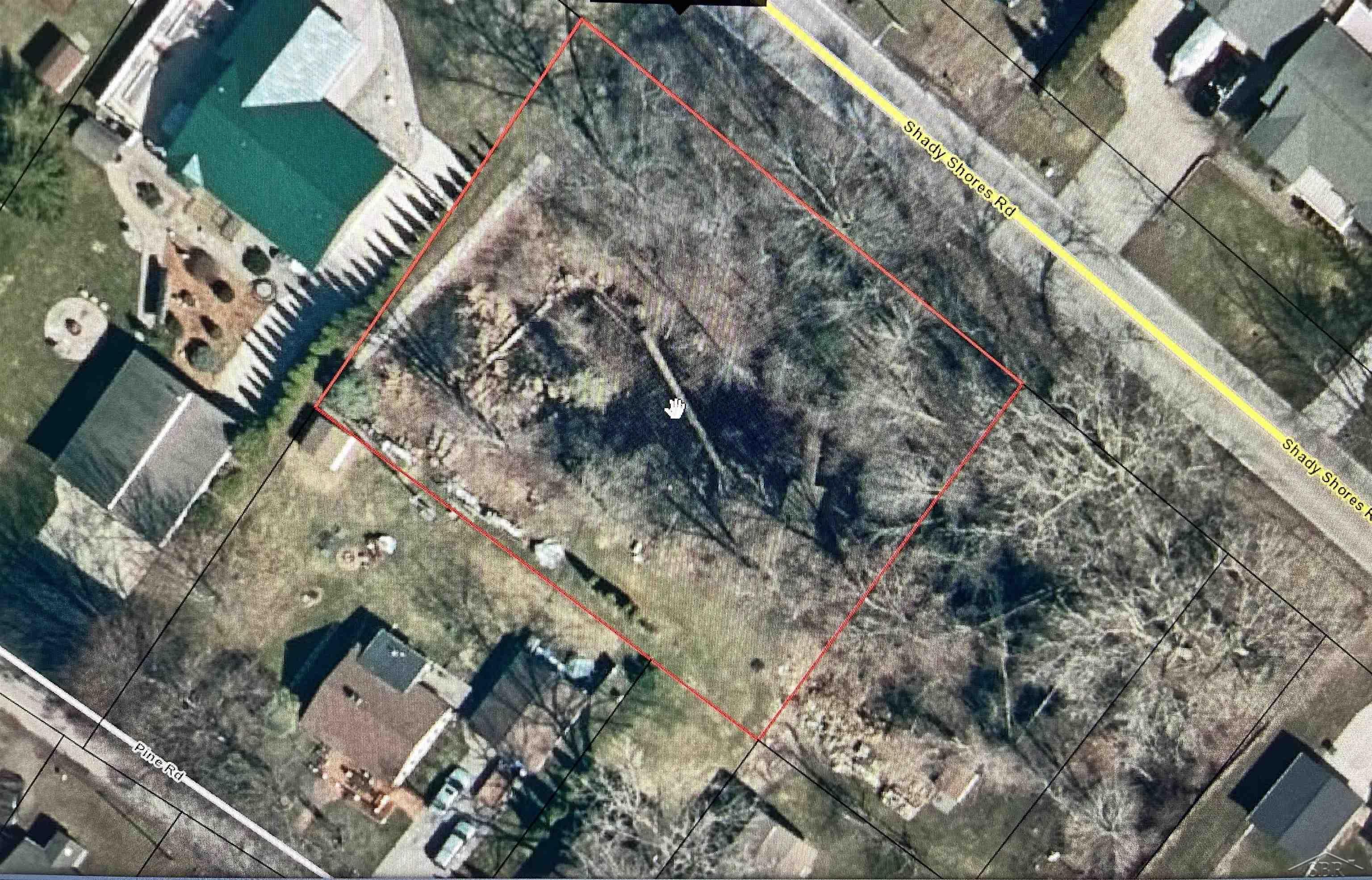 Image 4