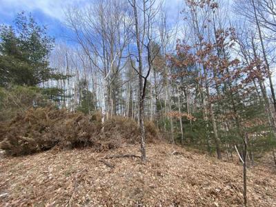 Lot 31 Scenic Hills Drive