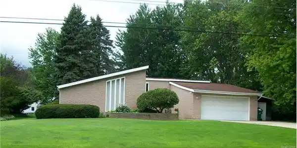 310 Pine Tree