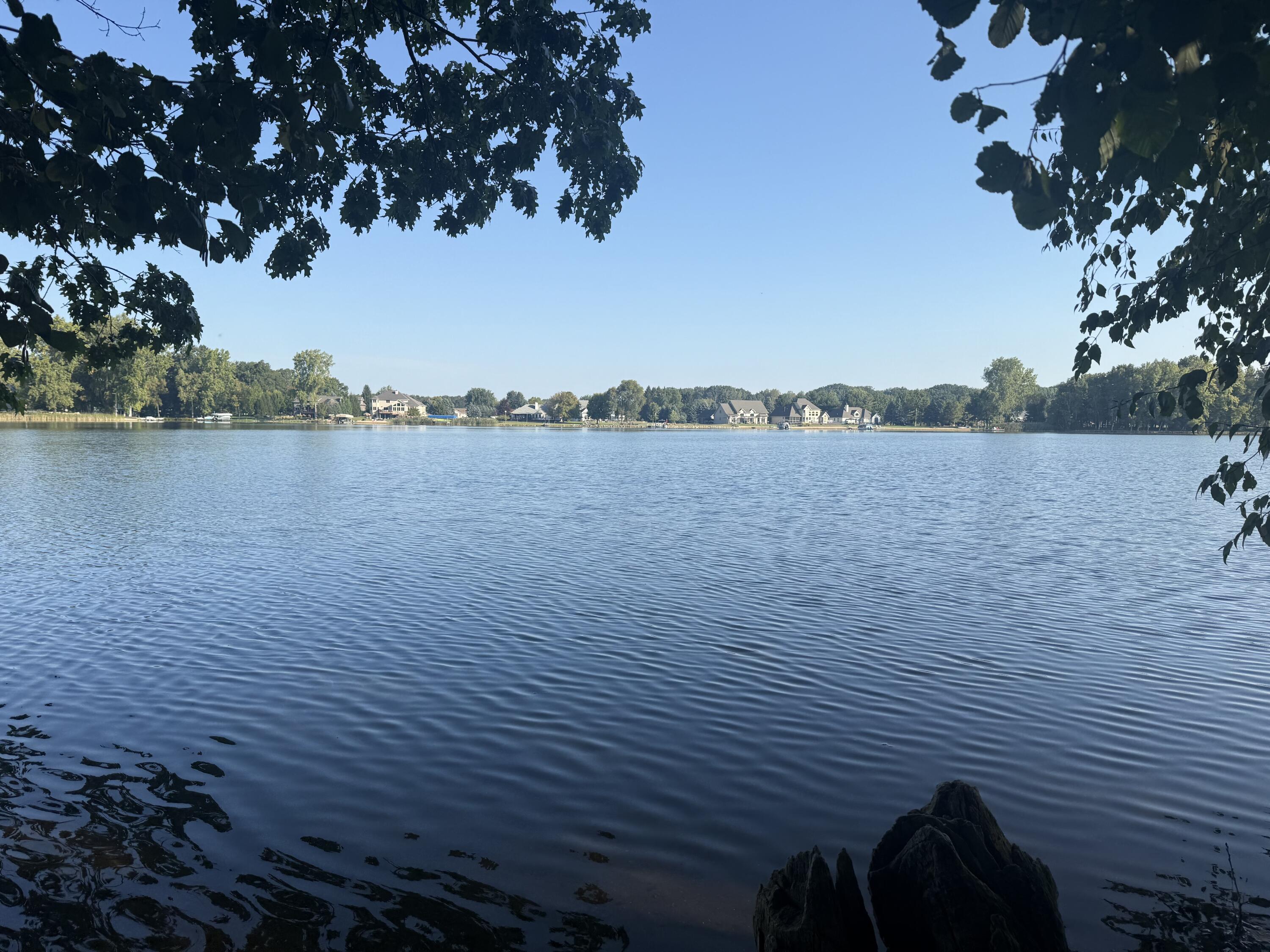 Image 2: IMG_1156