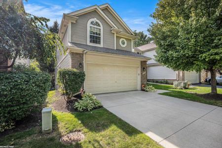 5336 Forest Ridge Drive