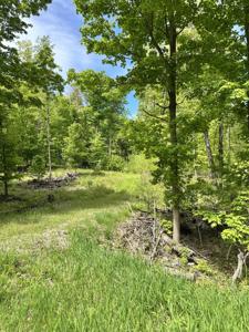 4333 E Town Line Road
