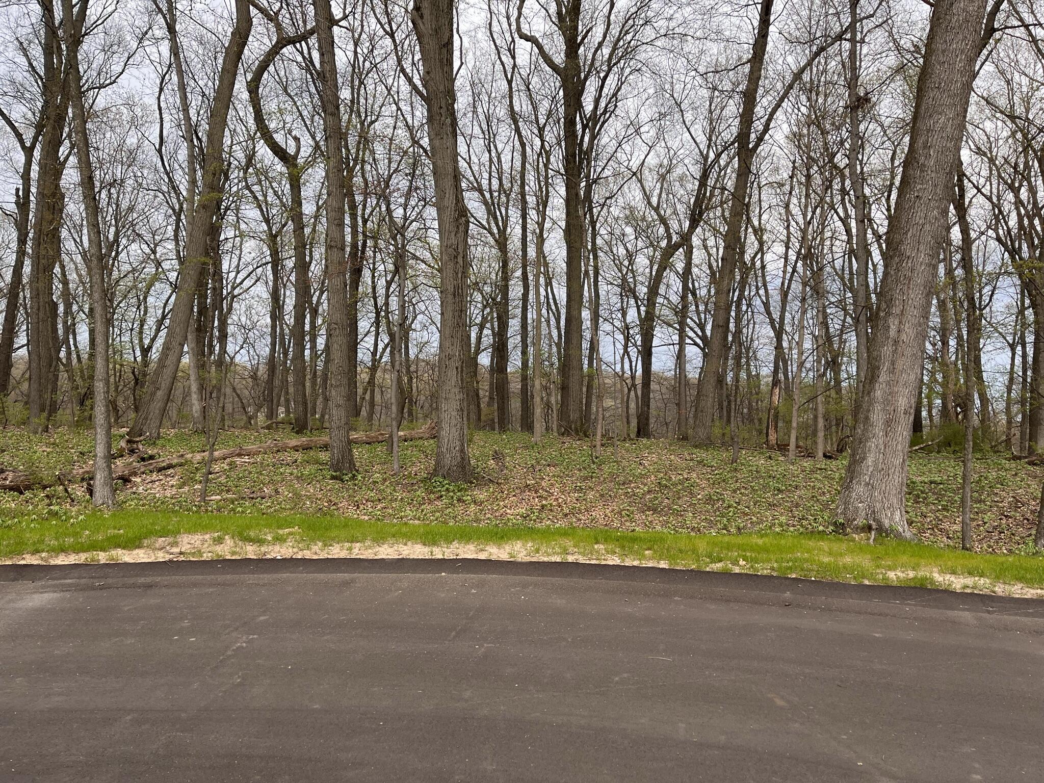 Image 2: Homesite #3