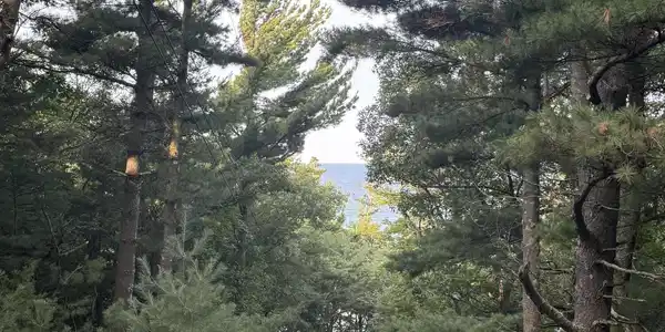 Lot G Hemlock Trail