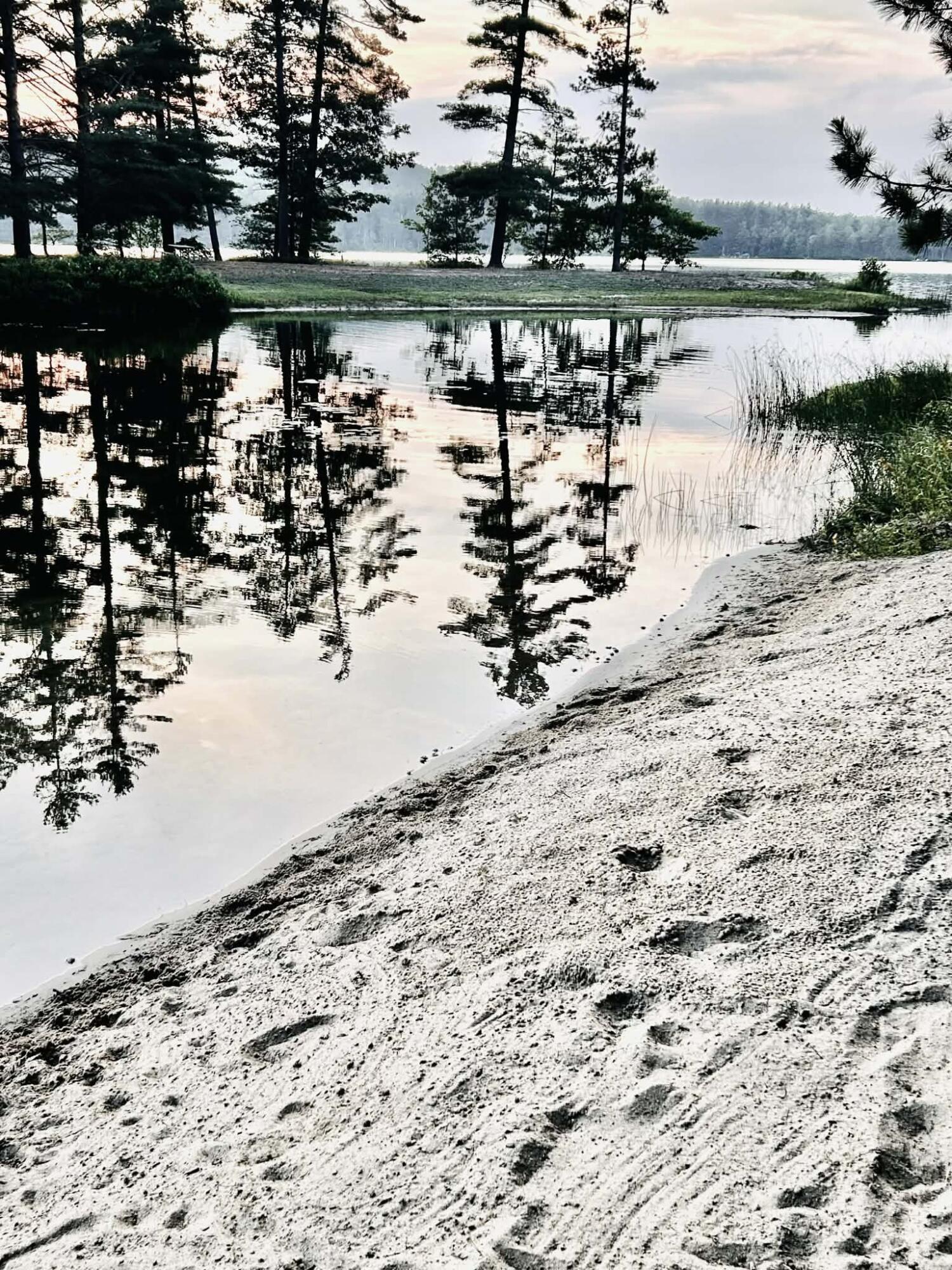 Image 3: 32ca6614-5958-41c4-b7b6-c2fc0ffff72e