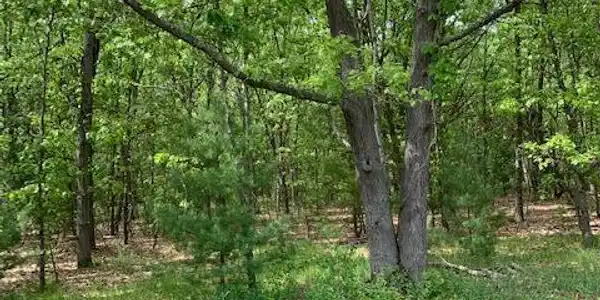 Lot 9 Old Channel Trail