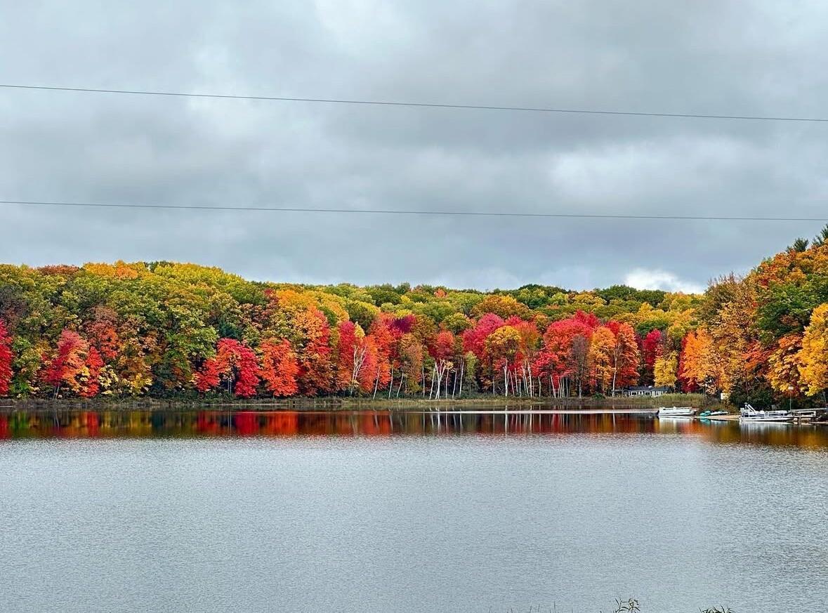 Image 4: Screenshot 2025-09-19 at 9.39.17AM