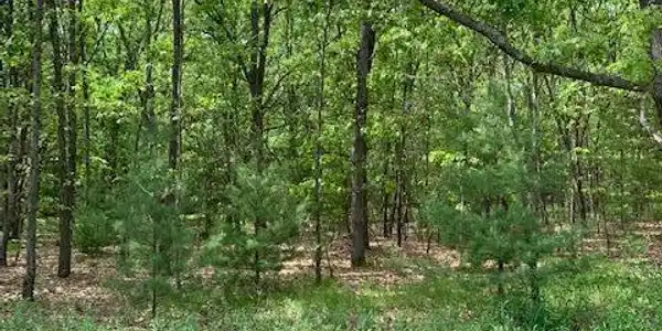 Lot 11 Lakeshore Street