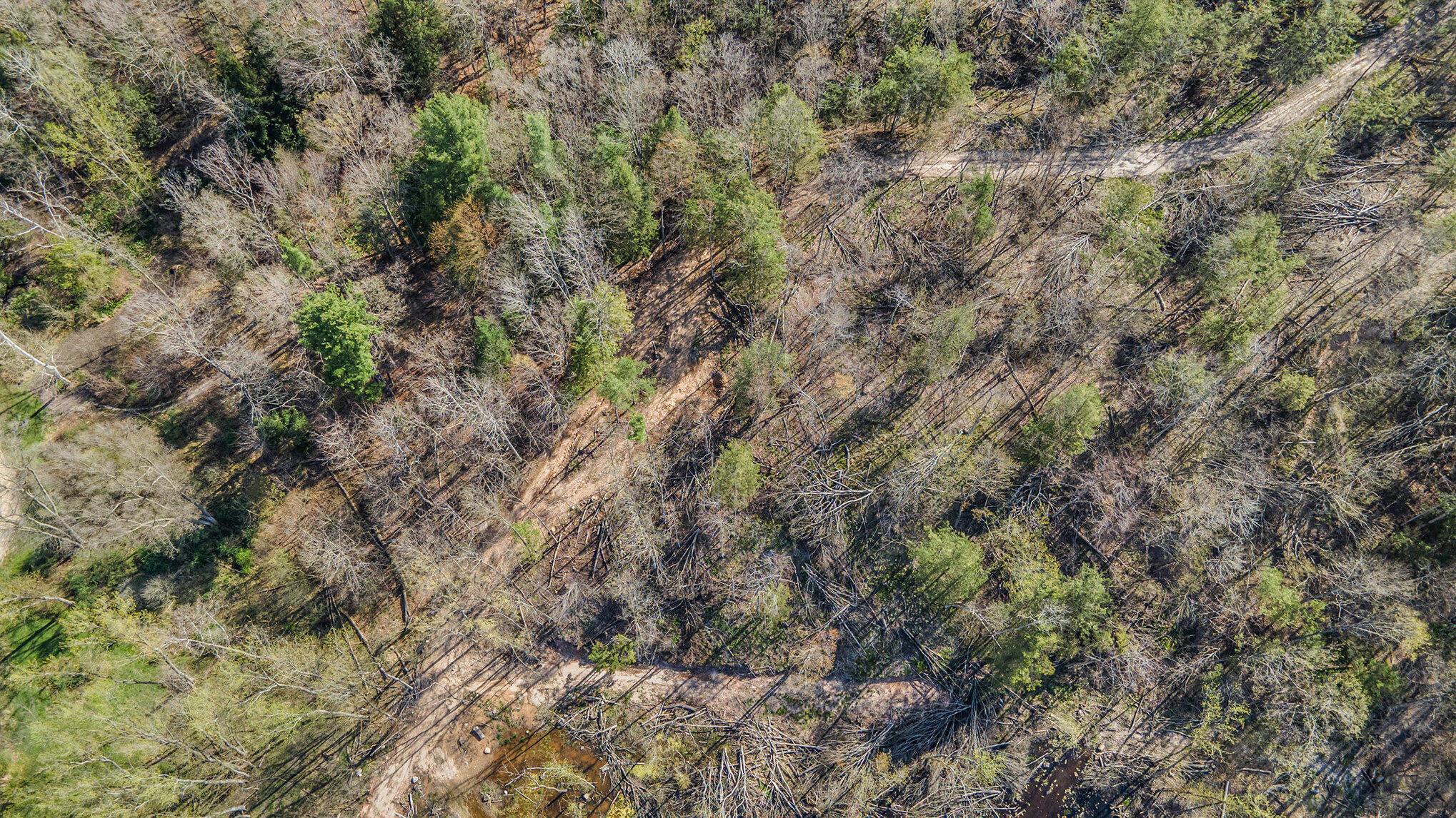 Image 3: 013_dji_0804_339