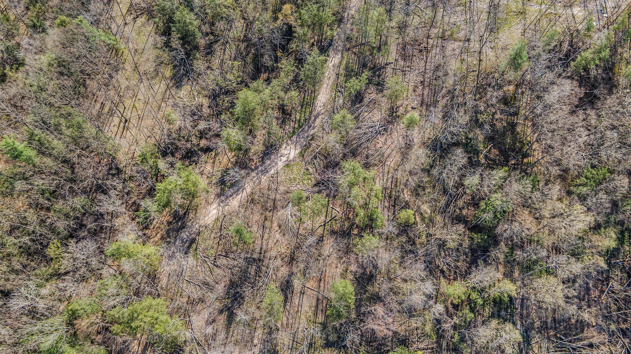 Image 4: 014_dji_0805_293