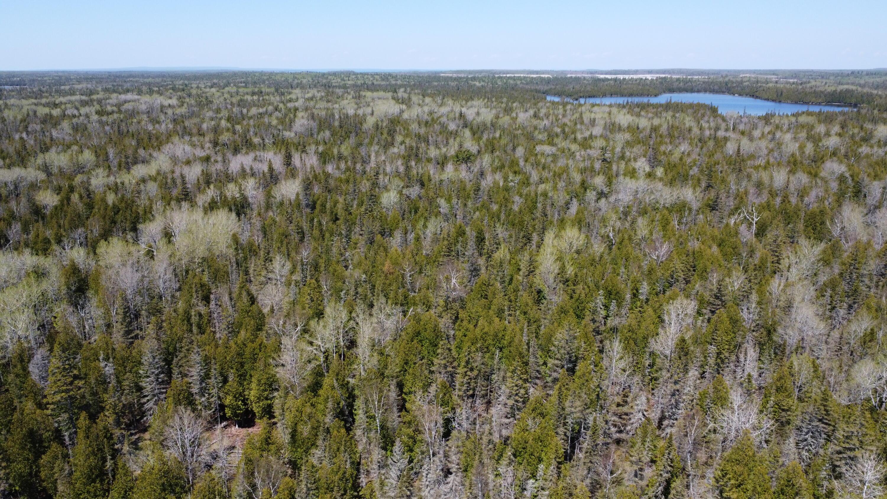 Image 2: DJI_0743