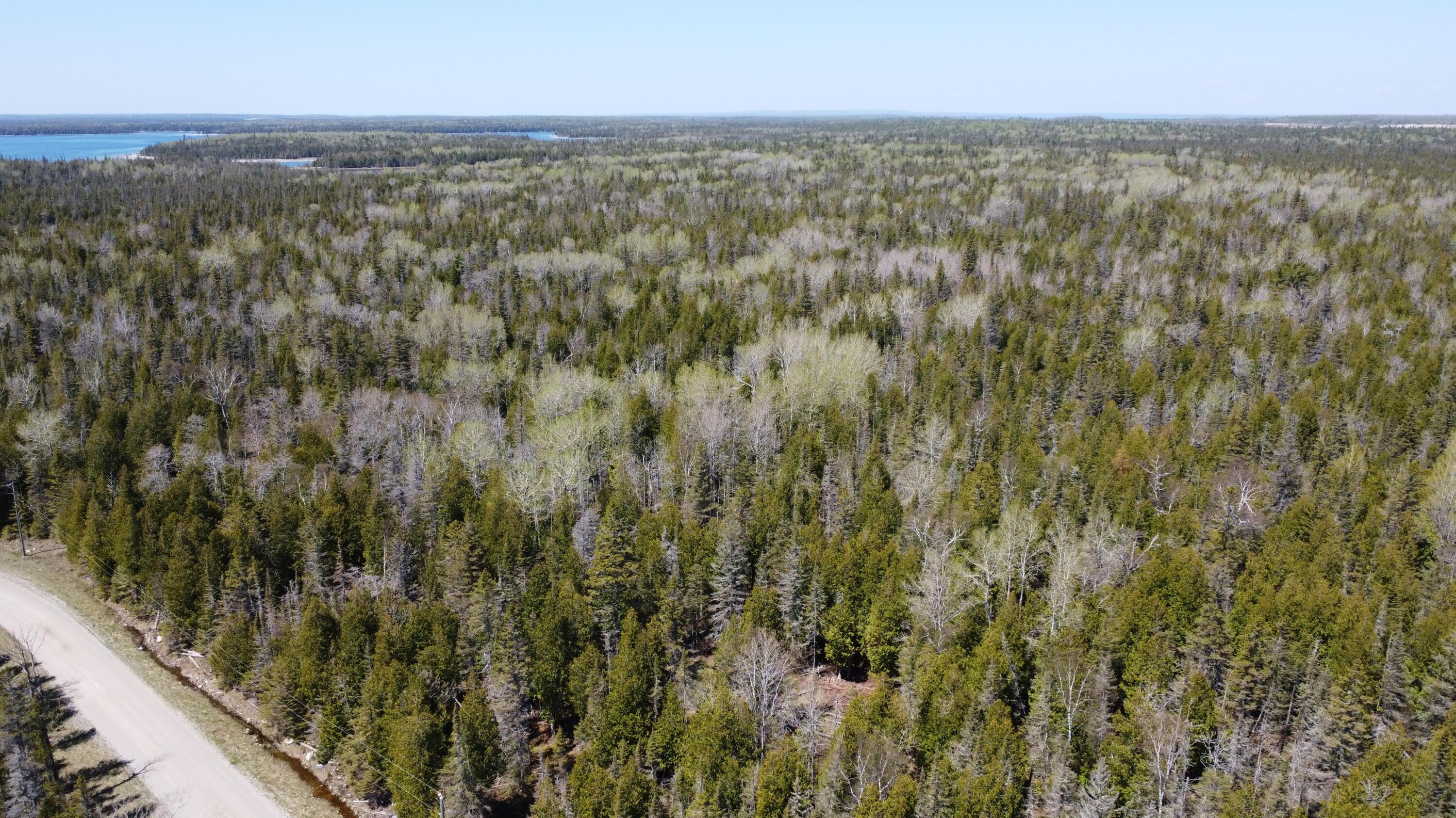 Image 3: DJI_0744