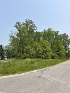 Walnut Drive