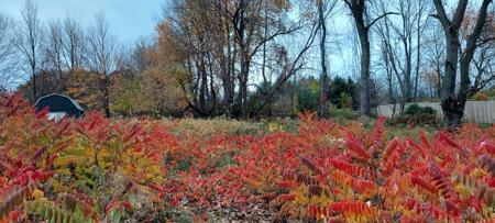 Lot 215 E Shore Drive