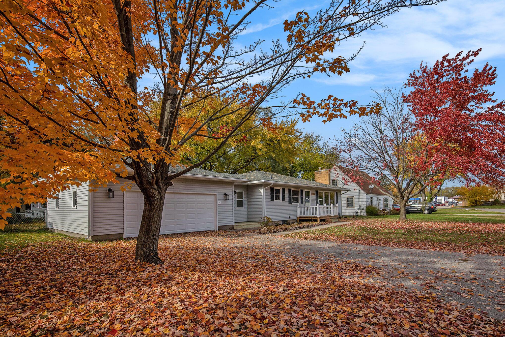 Image 3: 002_grape_41_620