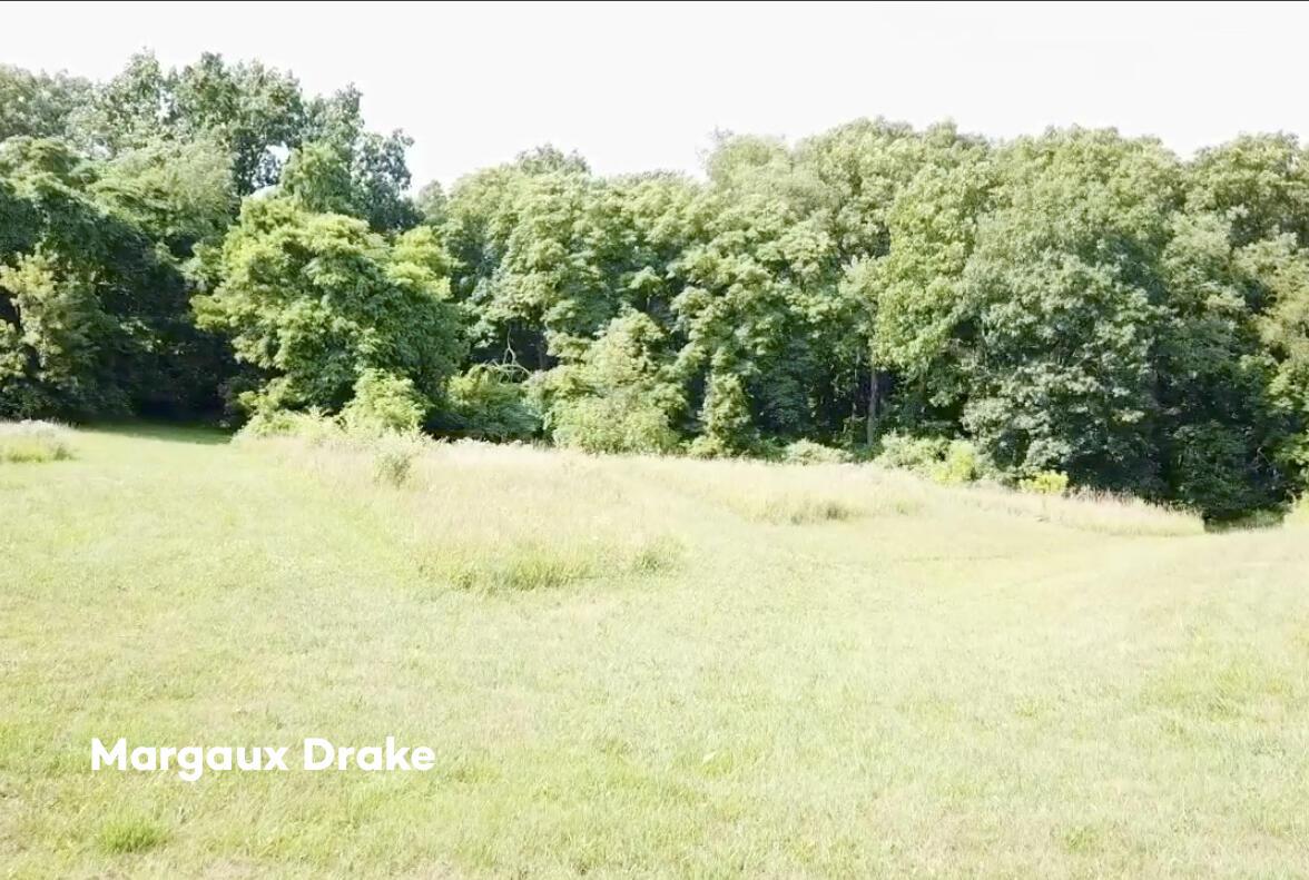 Image 1: North View Of Land