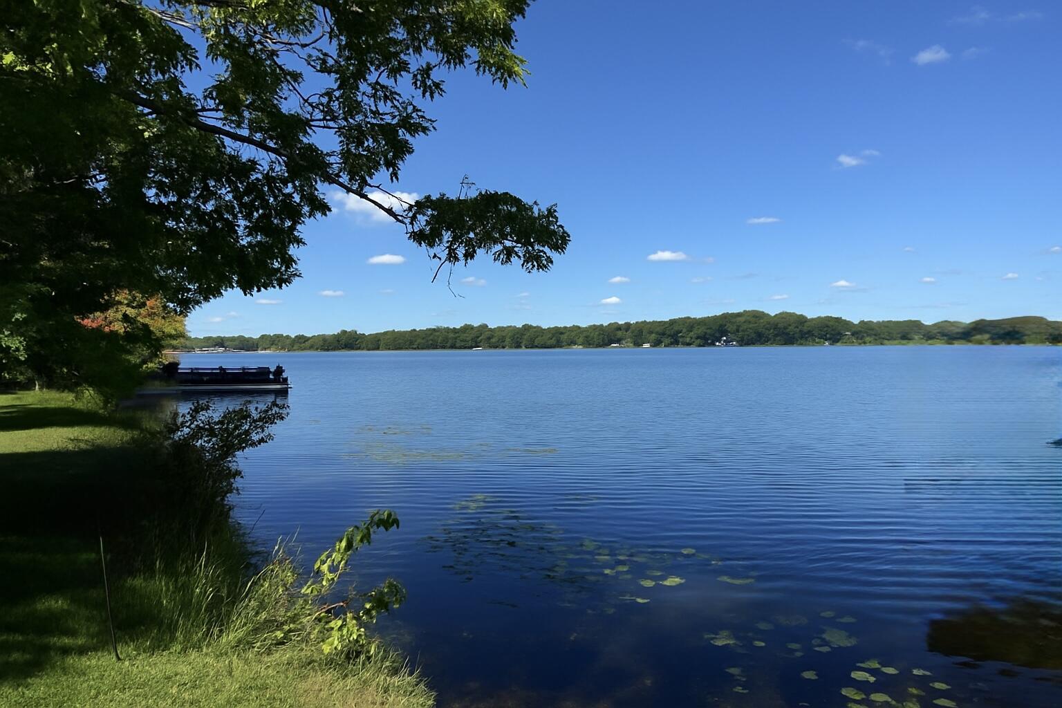 Image 4: 82973D87-DD07-48AF-8D3A-A3CFD0FD0745