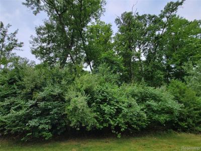 Lot 53 - Pinemont