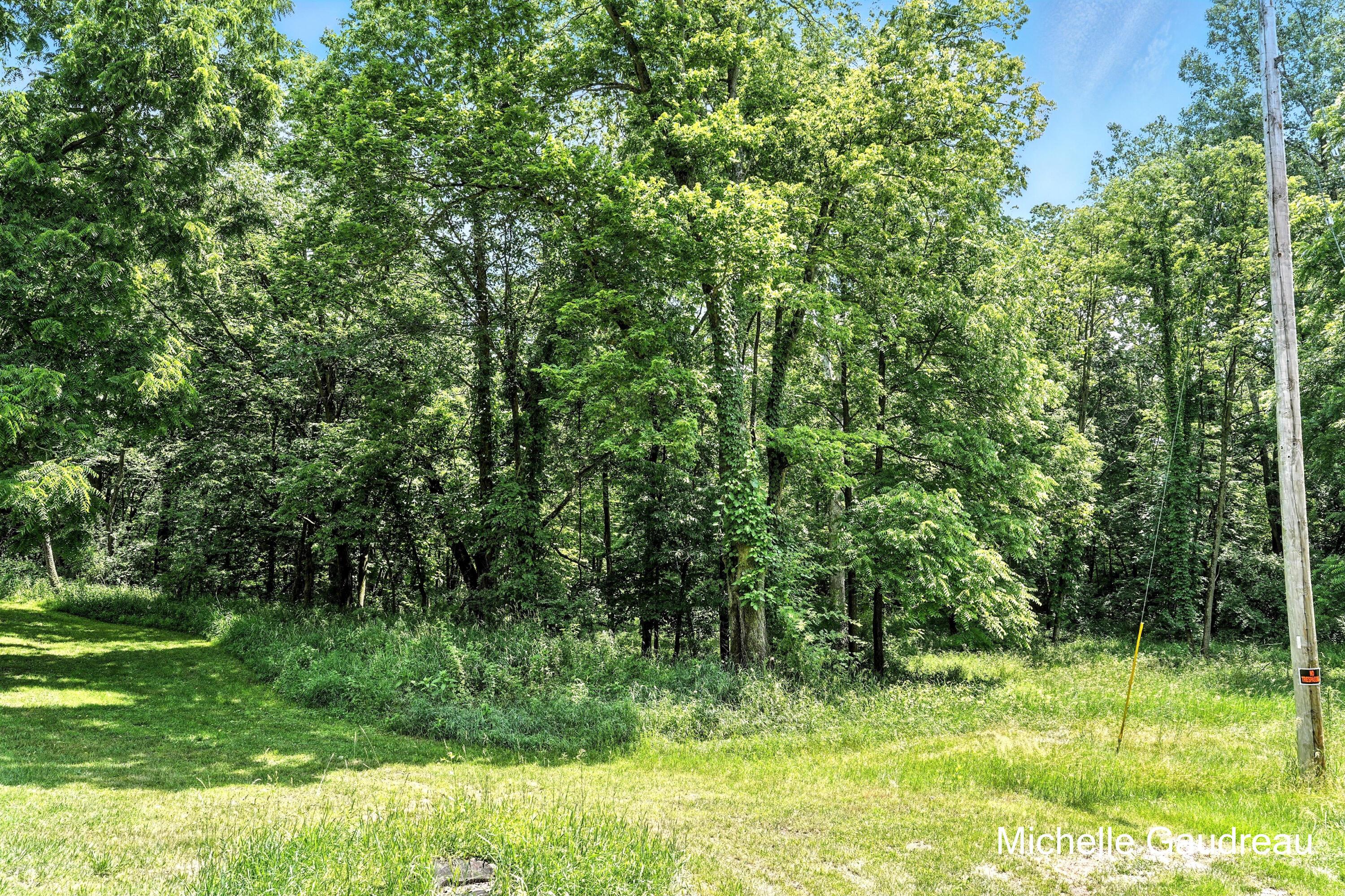 Image 3: Photo_003