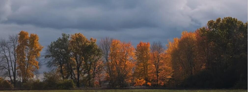 Image 1: Screen Shot 2024-07-19 at 1.30.19 PM