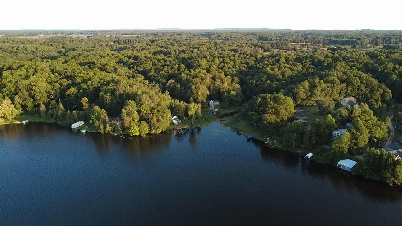 Image 3: 1000011812