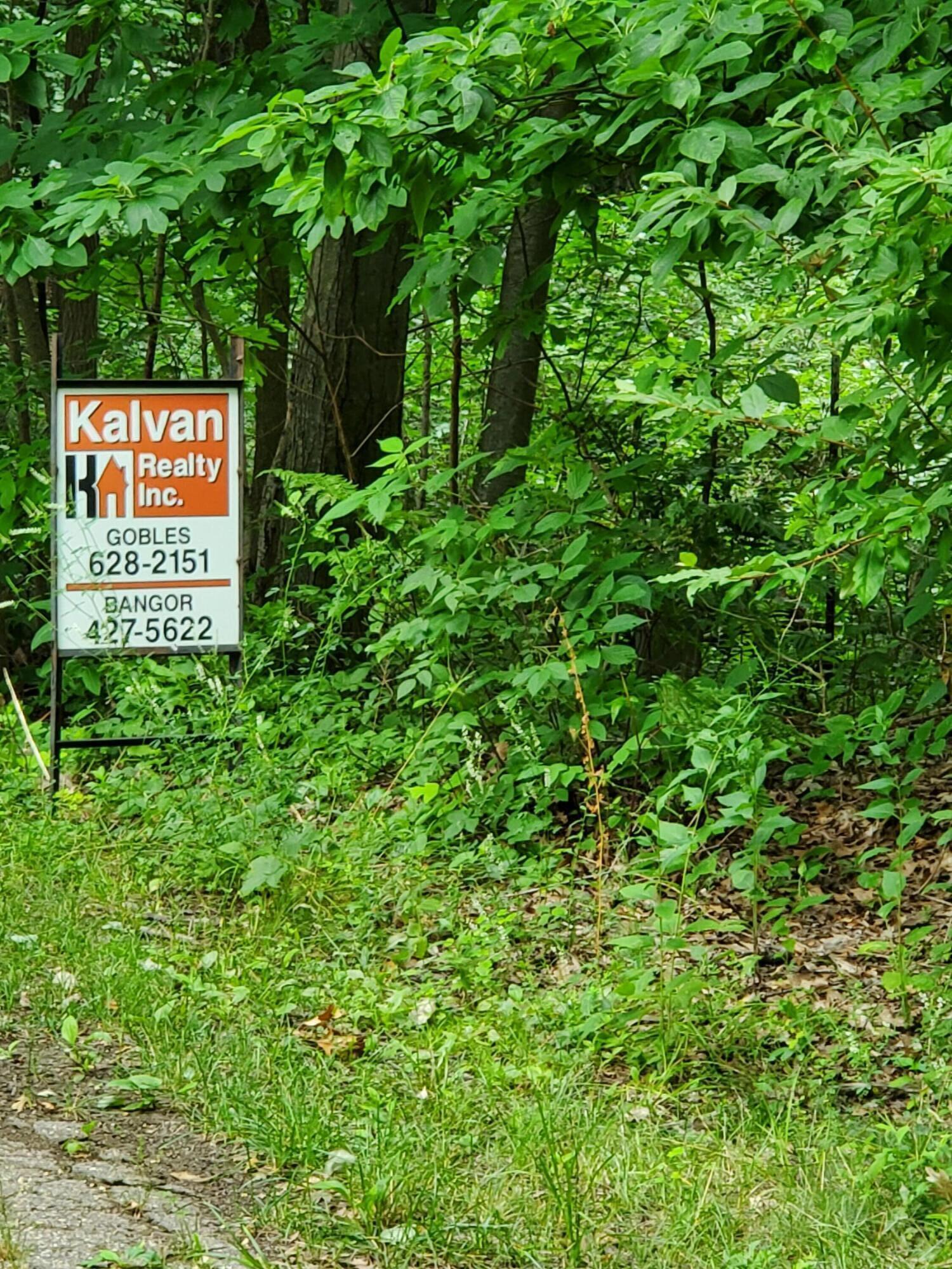 Image 2: 20250717_164640