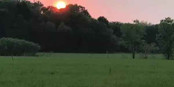 Image 3: sunset