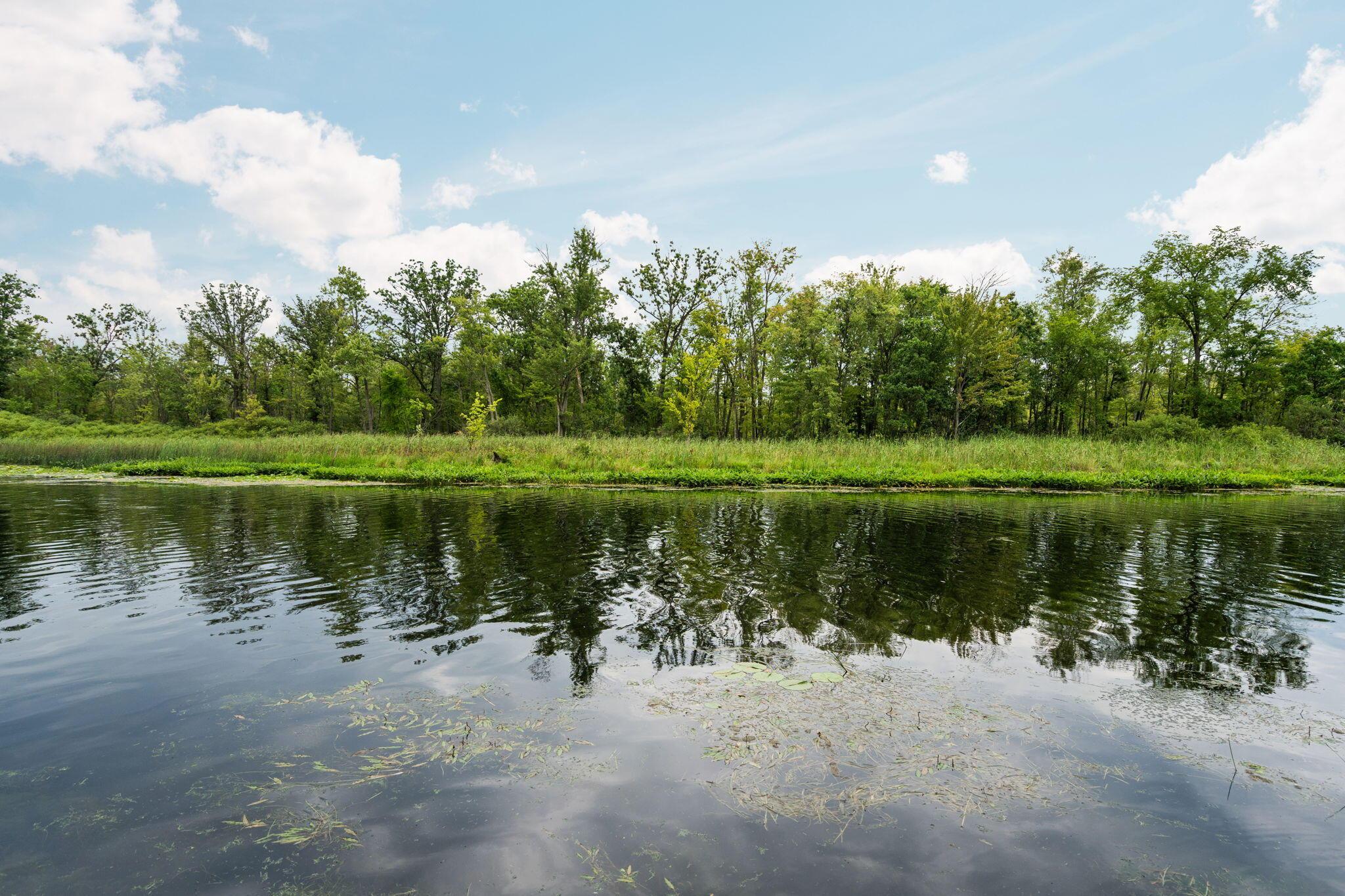 Image 3: 54-web-or-mls-DSC01310