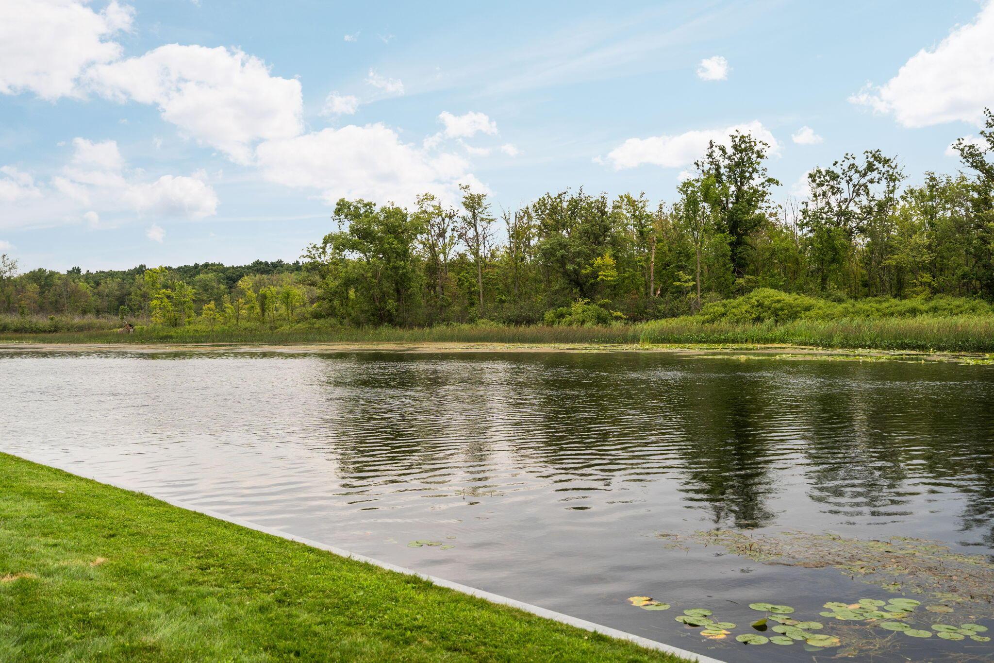 Image 4: 62-web-or-mls-DSC01321