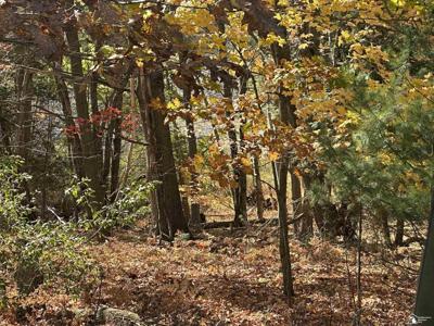 0000 Miramichi Drive