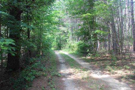 Whitefish Trail