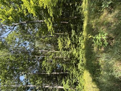 3628 Indian Trail Crossing