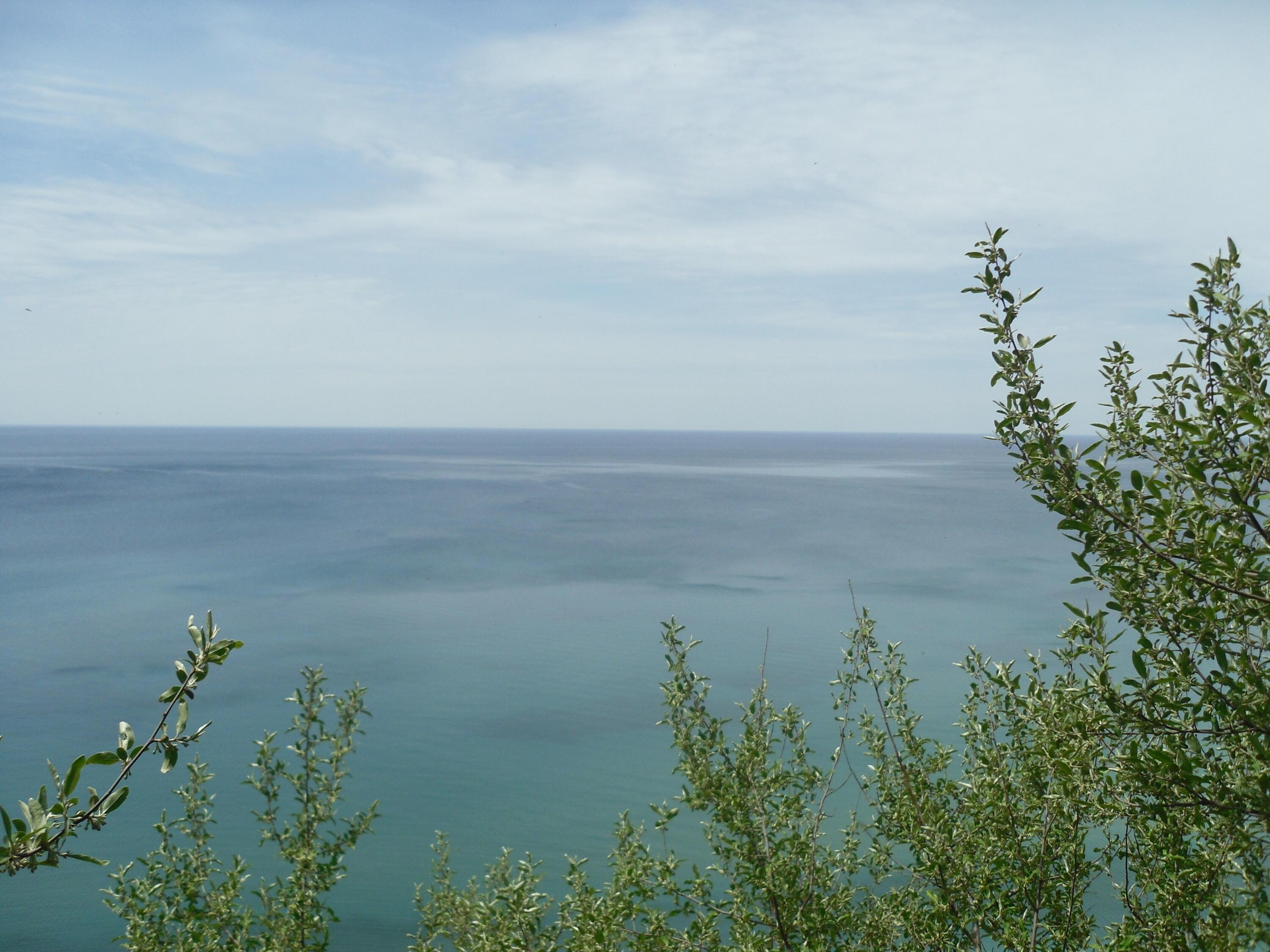 Image 2: SAM_1071