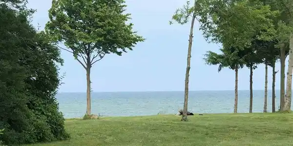 00 S LAKESHORE RD
