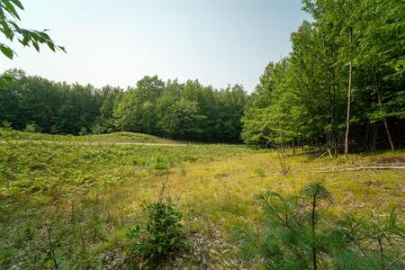 Outback Ridge