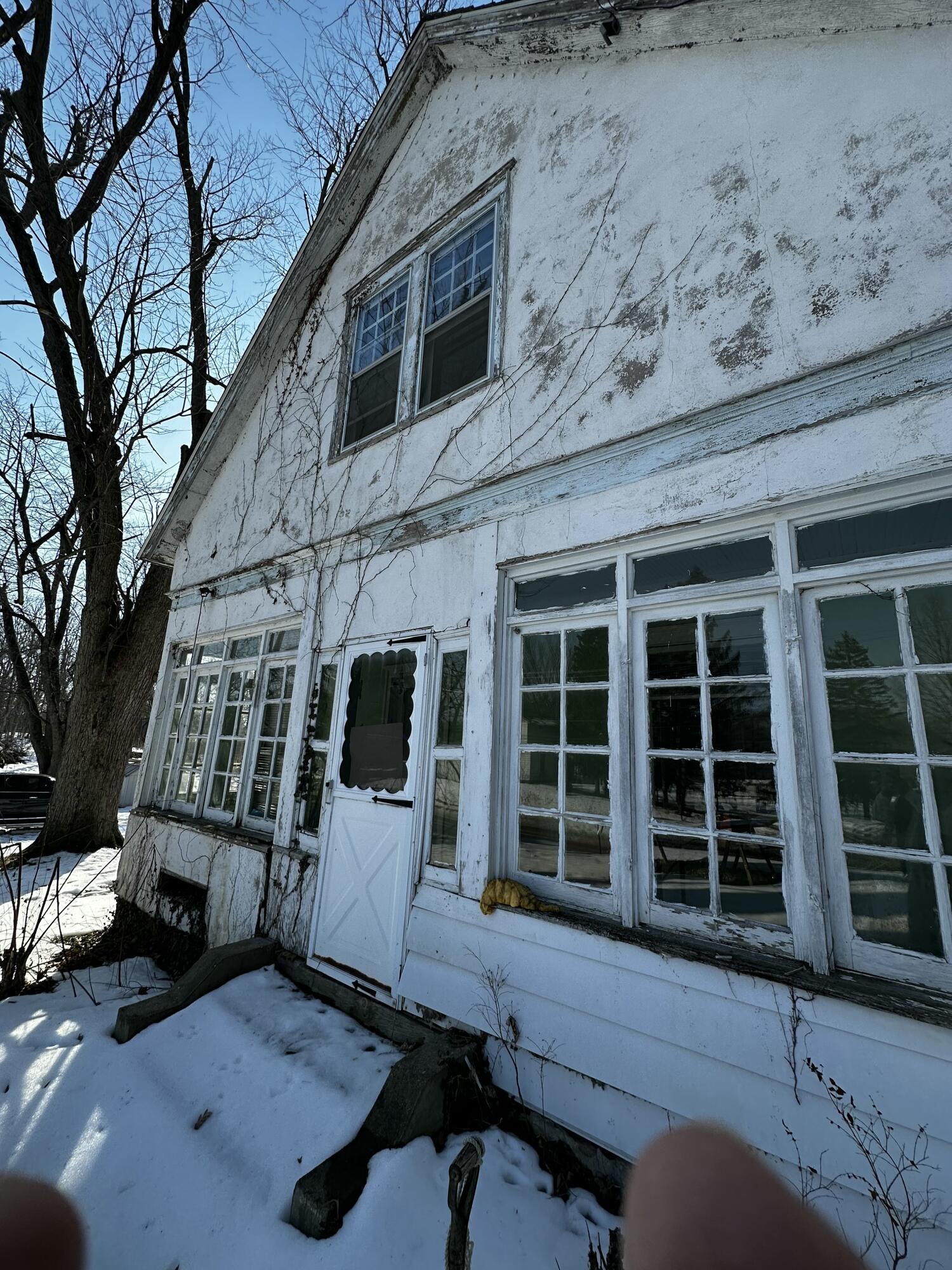 Image 4: IMG_1342