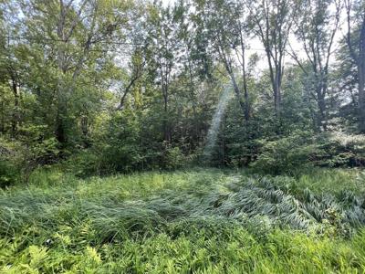 000 County Road 380