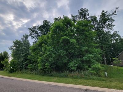 Lot 55 - Wyndam Lane