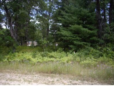 Pinecone Court