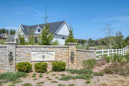 206 Vineyard Ridge Drive