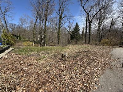228 Higman Park