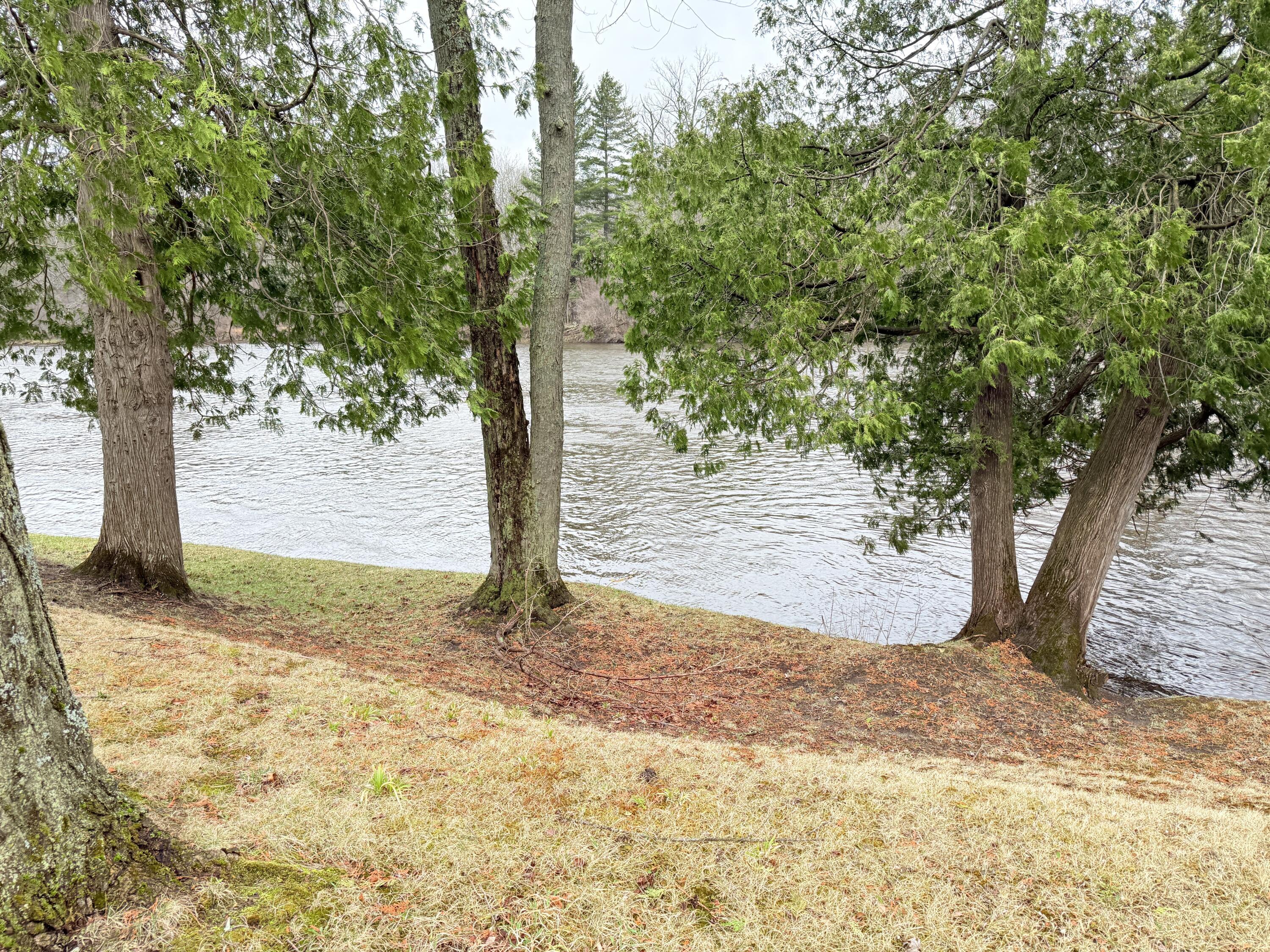Image 3: IMG_0642